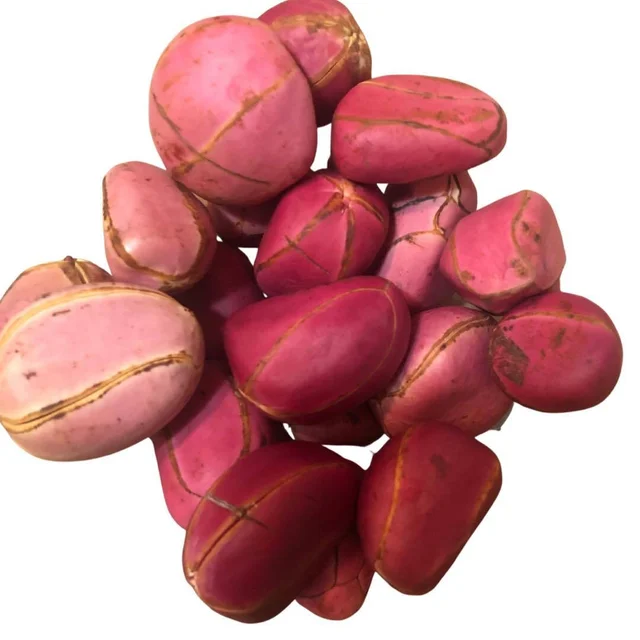Kola nut